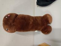 CS411/2024 PELUCHE